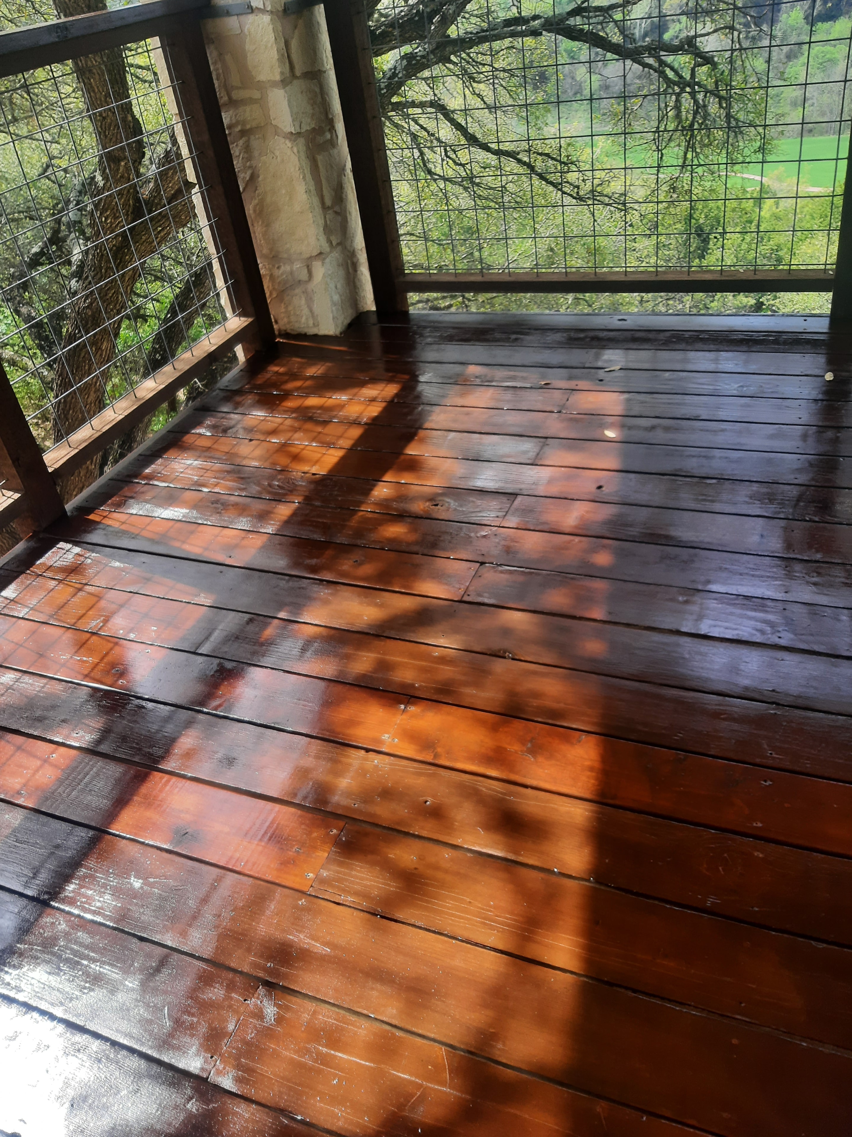 Freshly stained vertical wood boards with wire mesh railing and tree views